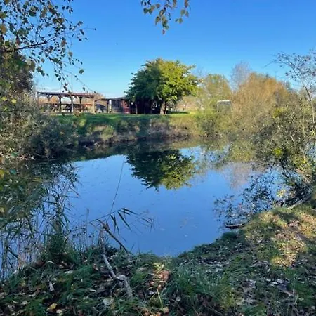 Blue Grass Ranch - Mobilhome Yucca キャンプ場 Bischoffsheim