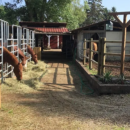 Blue Grass Ranch - Mobilhome Yucca & Jacuzzi *