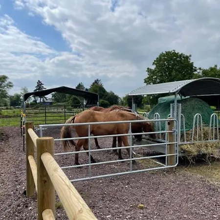 Blue Grass Ranch - Mobilhome Yucca * Bischoffsheim