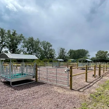 キャンプ場 Blue Grass Ranch - Mobilhome Yucca