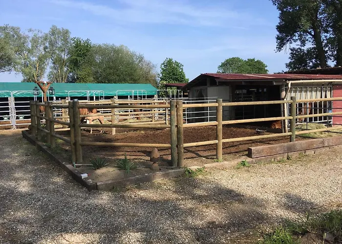 Camping Blue Grass Ranch - Mobilhome Yucca & Jacuzzi *
