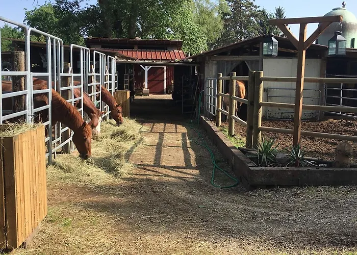 Blue Grass Ranch - Mobilhome Yucca & Jacuzzi *