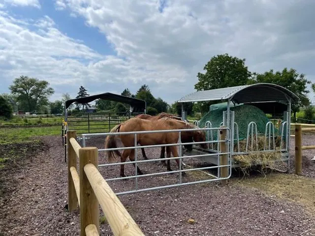 Blue Grass Ranch - Mobilhome Yucca & Jacuzzi * Bischoffsheim